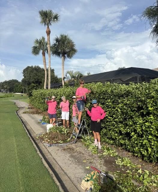 Deadheaders volunteers in pink shirts clearing vines from a hedge along a sidewalk