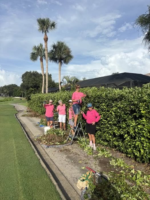 Deadheaders volunteers in pink shirts clearing vines from a hedge along a sidewalk