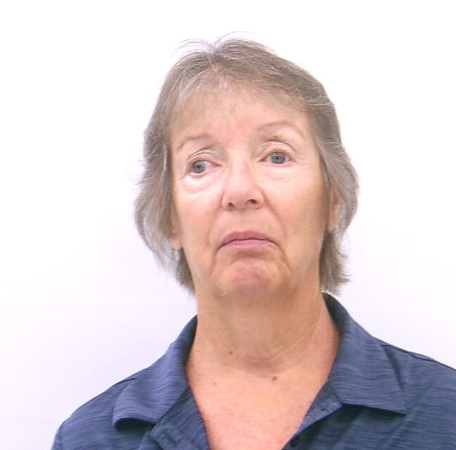 Lisa Springer